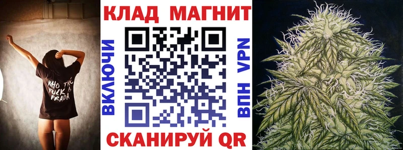 Где найти наркотики Шатура ГАШ  КОКАИН  Экстази  Мефедрон  Галлюциногенные грибы 