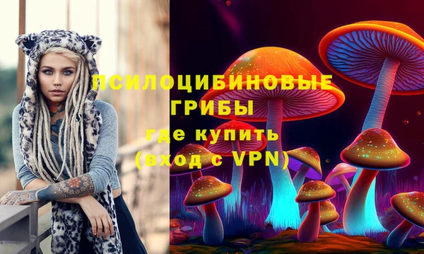 молекула духа Лихославль