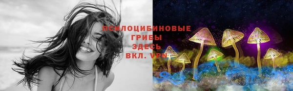 молекула духа Лихославль