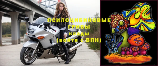 apvp Лиски