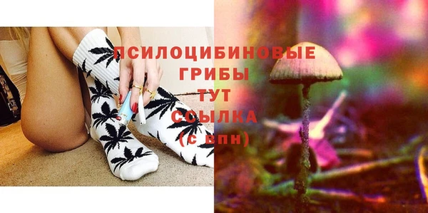 молекула духа Лихославль