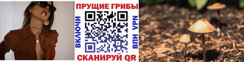 Псилоцибиновые грибы Psilocybine cubensis  Шатура 