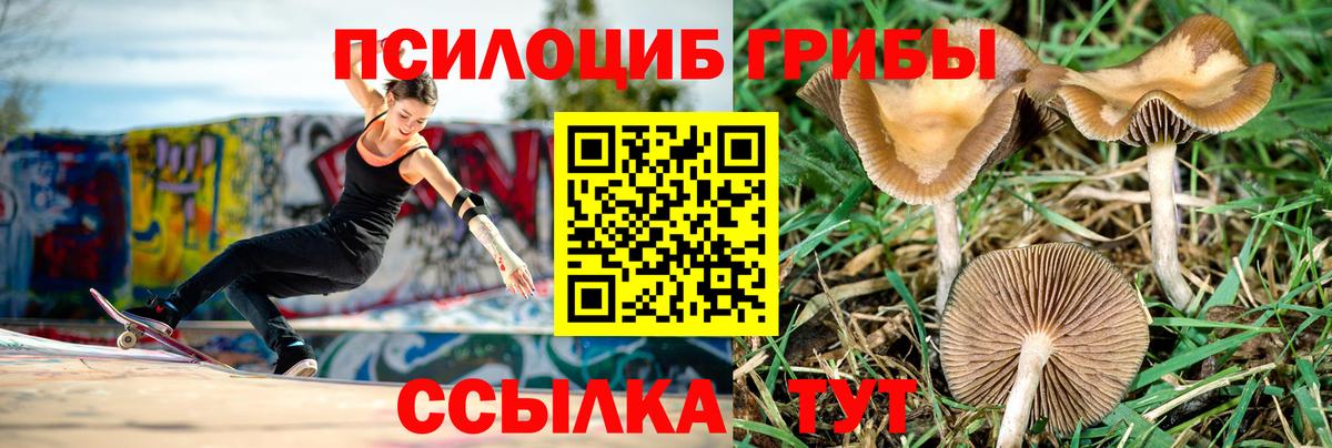 Галлюциногенные грибы MAGIC MUSHROOMS Шатура