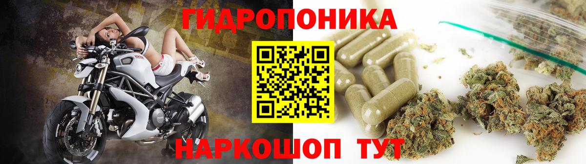 Конопля White Widow  Шатура  Марихуана планчик  МАРИХУАНА индика 